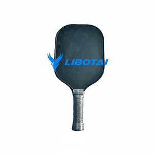 Hojas núcleo de polipropileno PP pickleball paddle - Product Image 1