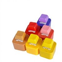 Porte-clés en plastique enregistrable et rechargeable, style mignon, breloque anti-stress fantaisie, cadeau créatif pour fans