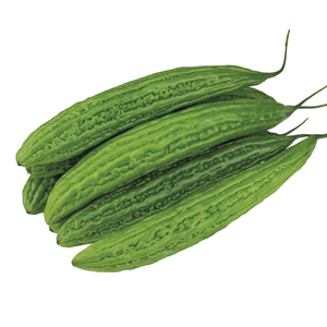 Melón amargo personalizado OEM, fresco y natural, a granel, para uso en elaboración de productos vegetales, para exportadores - Product Image 5