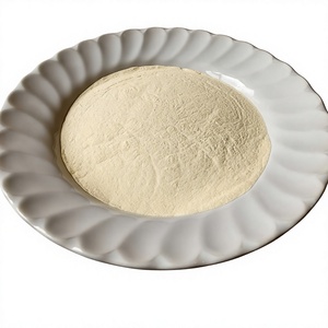 Polvo de Mango Deshidratado por Aspersión 90% Puro, Grado Alimenticio, Empaque en Cartón, Precio de Fábrica, Hecho en Tailandia, Certificado Halal, Venta al Por Mayor - Product Image 1