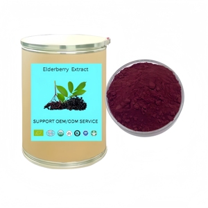 สารสกัดจากผลเอลเดอร์เบอร์รี่ ผงผลแบล็คเอลเดอร์เบอร์รี่ (<span class=keywords><strong>Sambucus</strong></span> Nigra) อุดมไปด้วยแอนโทไซยานินและฟลาโวนอยด์ - Product Image 4