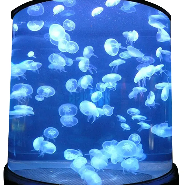 PG getrocknetes Korallenriff 3d Aquarium Hintergrund Acryl Aquarium