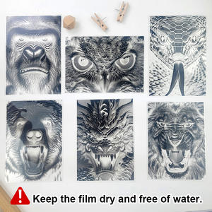 ชุดฟิล์ม<span class=keywords><strong>กระดาษ</strong></span>พิมพ์ลายดวงอาทิตย์สี A6พร้อมการสอนและเครื่องมือ5ชิ้นฟิล์มหัว<span class=keywords><strong>มังกร</strong></span>ไซยาโนไทป์1แผ่น-ผู้เริ่มต้นศิลปะทำด้วยตัวเอง - Product Image 3