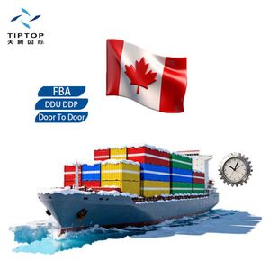 Logística de Envío Directo, Servicio de Importación, Proveedor de Transporte, Transporte Marítimo desde China a Canadá - Product Image 1