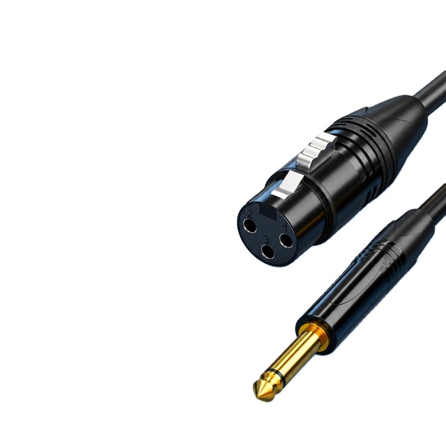 6.35mm TRS to XLR Female Balanced Audio Cable, Microphone-to-Microphone Phantom Power Cord, Customizable Length