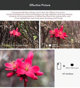 Objectif d'appareil photo macro HD puissant pour téléphone portable, objectif macro 100 mm pour iPhone Android - Product Image 4
