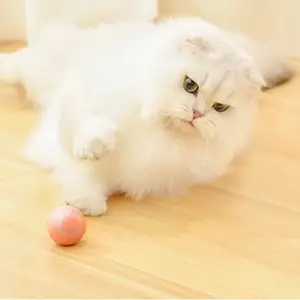 新产品2023宠物用品猫玩具重力智能滚球制造声音磨碎充电智能旋转球