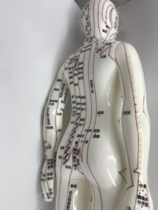 Enseignement médical acupoint <span class=keywords><strong>Acupuncture</strong></span> Femelle Humain Femmes Modèle Image PVC Matériel Maniking enseignement outil d'<span class=keywords><strong>acupuncture</strong></span> - Product Image 3