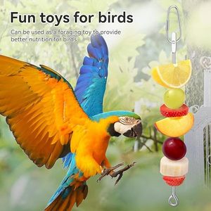 Eco-Friendly Hanging Stainless Steel <strong>Bird</strong> Parrot Forager Skewer <strong>Food</strong> Holder Toy Fork for Feeding Corn Apple <strong>Fruit</strong> <strong>Bird</strong> Supplies - Product Image 5