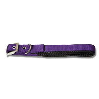 Collier pour chien en nylon rembourré à double couche 25 mm-30 mm Doublure synthétique douce Matériel chromé Oeillets métalliques 6 tailles Collier pour animaux de compagnie