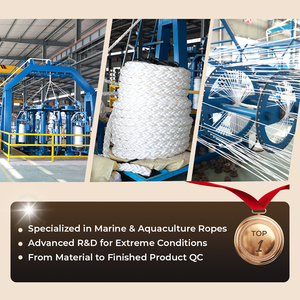 Cuerda de Polipropileno Resistente al Desgaste, Flotante, para Empaque, Redes de Pesca Marinas, Venta Caliente - Product Image 5