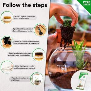 Kit Terrario Fai-da-Te PYEF CRAFTS per Creare un Ecosistema Autonomo, Include Succulente <span class=keywords><strong>in</strong></span> Barattolo di Vetro da 68 oz, Prodotto negli USA - Product Image 4