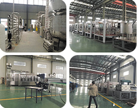 Vente directe usine – Machine de remplissage d'eau minérale 3-en-1 automatique (rincage, remplissage, bouchage) – Certifiée CE ISO – Offre Spéciale