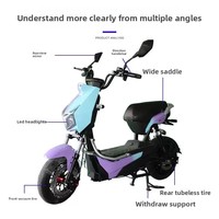 Nouvelle Trottinette Électrique Adulte 2026 1000W 48V, Cadre en Acier, Couleur Violet Bleu Dégradé, pour la Ville, Vente Directe Usine