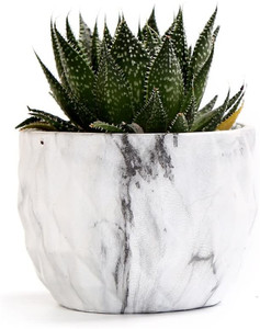 Vaso di <span class=keywords><strong>fiori</strong></span> 2026 in ceramica in stile moderno marmorizzato vaso di <span class=keywords><strong>fiori</strong></span> succulento/<span class=keywords><strong>Cactus</strong></span> fioriera vasi contenitore Bonsai fioriere <span class=keywords><strong>con</strong></span> foro - Product Image 6