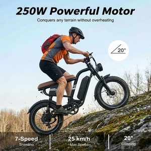 Bicicleta Eléctrica MX10 Road 250W 48V 13.5Ah 648Wh con Batería, Frenos Hidráulicos Dobles, Cuadro de Acero, Estilo Retro Scrambler para Adultos - Product Image 3