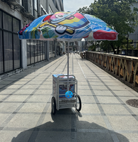 Chariot de vente mobile avec congélateur, parapluie, évier et robinet |   Chariot de vente ambulante de glaces et de bâtonnets glacés