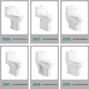 LORY Bán Sỉ Bồn Cầu Bằng Gốm Dùng Trong Phòng Tắm Dạng Chữ S Bẫy Chữ S Cổ Điển Dùng Trong Phòng Tắm 300Mm - Product Image 6