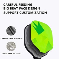 Raquettes de Pickleball en Fibre de Verre (2 Manches, 4 Têtes, 1 Pack) – Vente en Gros Direct Usine – Fabricant de Sets de Raquettes de Pickleball Personnalisées