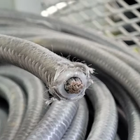 Kabel Kawat Tembaga Berlapis Timah 2mm2 3mm2 300/500V dengan Isolasi Karet Silikon, Serat Kaca, dan Jalinan Fiber-Glass untuk Suhu Tinggi