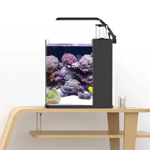Aquário Retangular Ultra Transparente Moderno e Ecológico de Vidro para Peixes de Água Salgada, Ideal para Espaços Pequenos - Acessórios para Aquário - Product Image 4