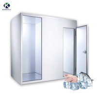 Chambre froide de congélation cryogénique à -25 degrés, chambre froide de réfrigération, entrepôt frigorifique, congélateur, chambre froide, conteneur frigorifique facile à utiliser