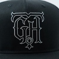 Op maat gemaakte heren petten met 6 panelen, gestructureerde snapback, hiphop flatbill cap, sport geborduurde logo snapback pet
