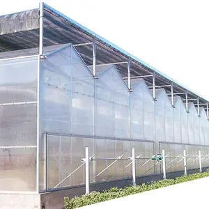 Chinese Greenhouse Suppliers Product Polycarbonate Greenhouse For Hydroponic Grow System Kit