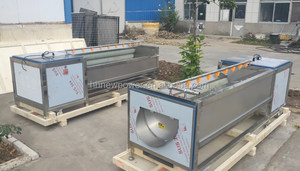 Machine de lavage et de pelage industrielle certifiée CE pour légumes (pommes de terre, carottes, taro, manioc, gingembre, igname) et avocats - Product Image 6