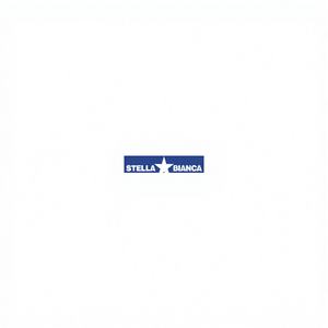 Cutter rotatif HSS Art. 25 Fig.49 Lance 0250492 WHITE STAR EAN 8015519251500 0,02 kg - Product Image 1