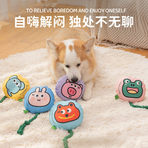 Dog toys with squeaking paper, pet toys for self-entertainment and entertainment, cotton rope style, teething and chewing - Product Image 5
