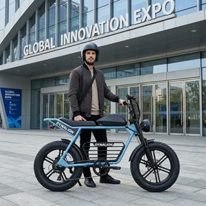 Urban Premium Vintage Fatbike E-Bike mit LCD-Display, City-Elektrofahrrad für Messezentren und Anfahrtsplassen - Product Image 6