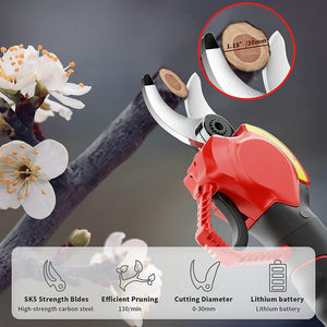 Forbici potatore <span class=keywords><strong>a</strong></span> palo senza fili <span class=keywords><strong>a</strong></span> portata lunga - Product Image 5