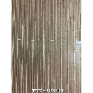 Panel Dinding Kayu Resin Permukaan Padat Dinding Batu Dekoratif dari Papan Sandwich Transtone