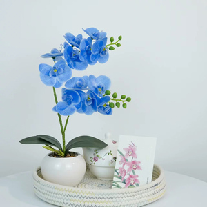 LE-28 Vente en gros de pot de fleurs en céramique 43cm 2 têtes Fleurs <span class=keywords><strong>d</strong></span>'orchidée artificielles au toucher réel pour mariage Saint-Valentin Nouvel An - Product Image 4