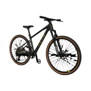 Bicicleta de montaña de lujo de fibra de carbono - Product Image 1