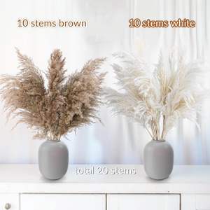 <span class=keywords><strong>Vase</strong></span> de sol en herbe de la <span class=keywords><strong>pampa</strong></span> naturelle séchée <span class=keywords><strong>beige</strong></span>, arrangements floraux bohèmes, ajoute une touche de style bohème, longue durée, Nouvel An - Product Image 3