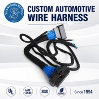 Kabel Kontrol Perakitan Kabel Harness Mobil Elektronik Shanyou yang Dapat Disesuaikan, Adaptor Konduktor Aluminium, Isolasi Nilon, 100mm, 12V