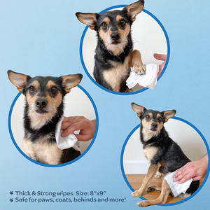 مناديل طاردة للبعوض من شركة تصنيع المعدات الأصلية مناديل رادعة لمكافحة الآفات في الهواء الطلق زيت أرز نباتي مناديل للحماية من البراغيث والقراد - Product Image 5