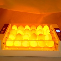 2023 Mini incubateur d'oeufs 24S entièrement automatique tournant 24 couveuse d'oeufs de poule couveuse incubateur avec bougie d'oeufs pour la maison de famille nous