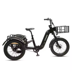 Triciclo Eléctrico de 20 Pulgadas con Motor de 48V 500W en la Rueda Trasera, Llanta Ancha de 20 x 4.0 Pulgadas, Modelo E TR03 - Product Image 3