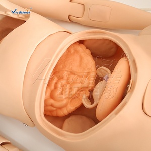 Muñeca de entrenamiento de enfermera de alta calidad (femenina) Simuladores de maniquíes para entrenamiento médico maniquí médico - Product Image 5
