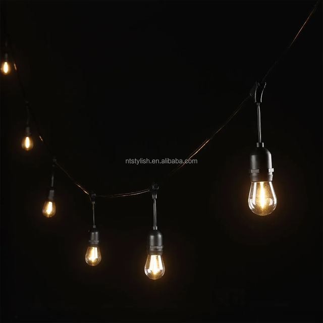 Commercial Grade Remote Dimmable Retro Replaceable Light Bulb Outdoor Patio Led String Light With Cable Ties