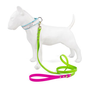 Collar de perro impermeable con correas recubiertas de PVC, bonitos colores, collares clásicos personalizados para mascotas, correa a juego con hebilla de Metal - Product Image 6