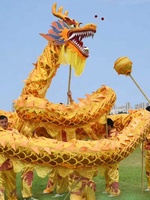 Costume de danse du dragon pour la danse du lion chinois, en bois de pêche, traditionnel, écologique, pour l'entraînement