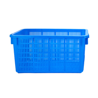 Caisses de stockage en plastique empilables pour la récolte et le stockage de fruits et légumes, idéales pour les tomates et les grandes productions agricoles