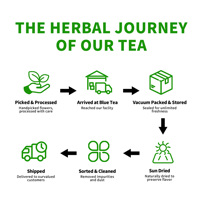 Té de Hojas de Senna Herbal de Marca Privada Jiaoming OEM, Té Adelgazante, Desintoxicante y Limpiador, para un Vientre Plano
