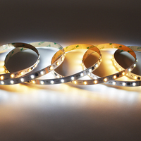 Tira de Luces LED Inteligente Flexible de 5m/10m/30m, 5050 2835 RGB, Luces de 24v DMX512 12v Direccionables CCT IP67, Conectividad USB para Jardín