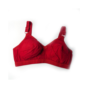 Minimalist Cotton <b>Bra</b> Set With Light Padding Smooth Cups And Matching Briefs In Organic Cotton For Everyday Simplicity - Product Image 1