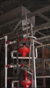 Tốt Nhất Bán 4-Tier 4-Cửa Mạ Kẽm Q235 Dây Thép Trứng Lớp Gà Lồng 128 Chim Công Suất Cho Gia Cầm Nuôi Mới - Product Image 5